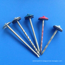 All Size Umbrella Head Roofing Nail with Plastic Washer